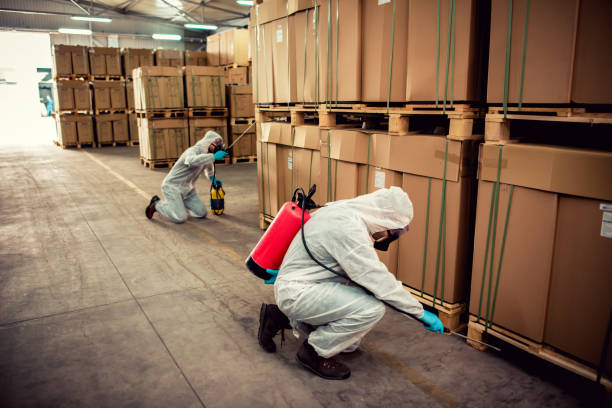 Best Best Pest Control Companies  in Weaver, AL