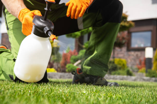 Best Best Pest Control Companies  in Weaver, AL