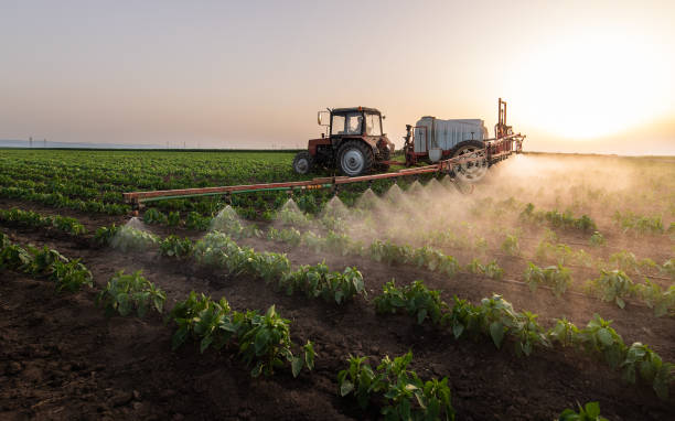 Best Pest Prevention Services  in Weaver, AL