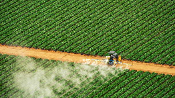 Best Pest Control Near Me  in Weaver, AL