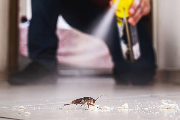 Pest Control for Restaurants in Weaver, AL